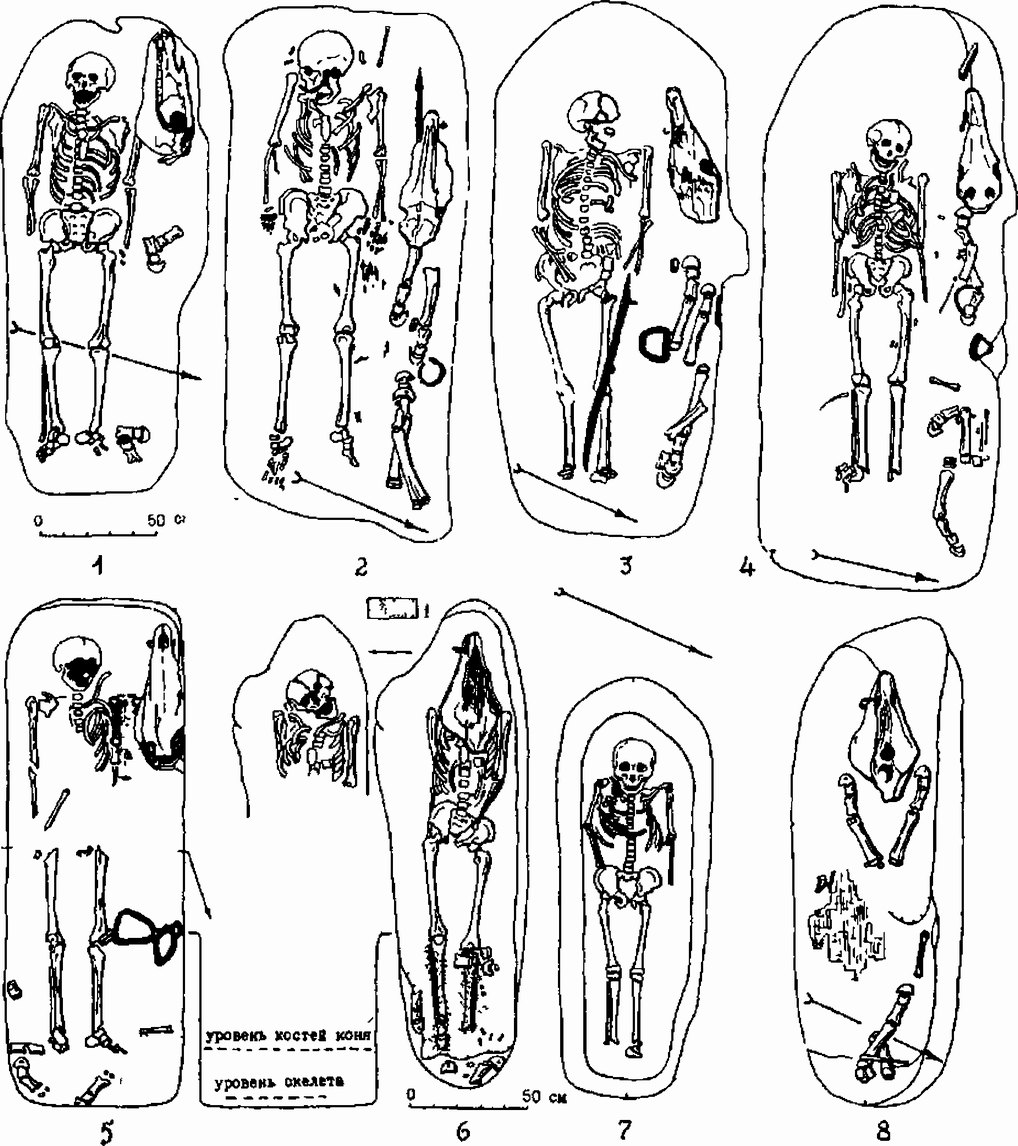 Рис. 44. Погребения печенегов (1—4) и торков (5—7) в кочевническом Беловежском могильнике. Захоронение чучела коня (кенотаф) (8). Условные обозначения: 1 — тлен от кожи