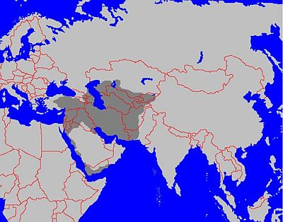 Владения турок-сельджуков в середине XI века