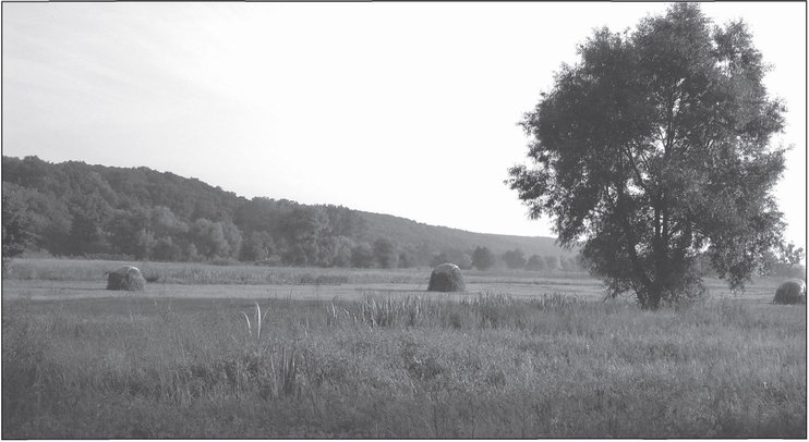 Рис. 28. Долина Северского Донца под городищем Мохнач (слева). Фото В.В. Колоды
