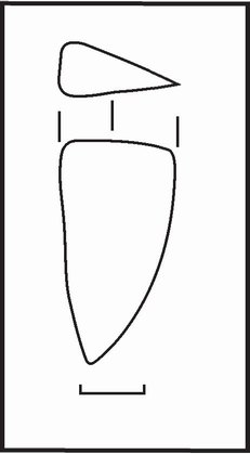 Рис. 52. Орудие для обработки почвы из поселения Коробовы Хутора: фрагмент железного орудия, вероятно, от чересла